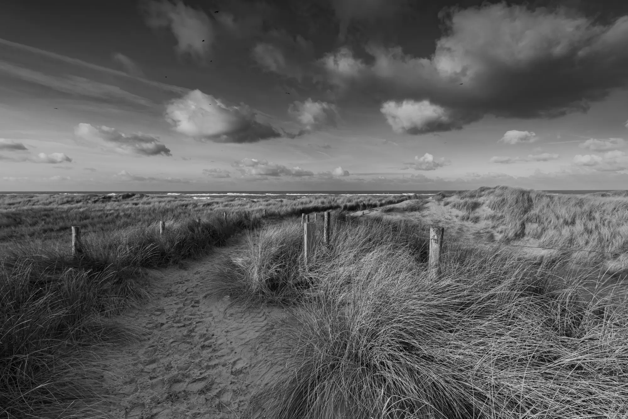 Wide dune landscape on the North Sea under a cloudy sky